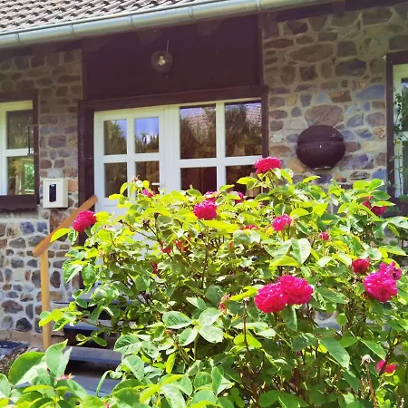 Eifelrose Simmerath
