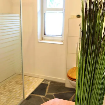 Casa de Férias Eifelrose