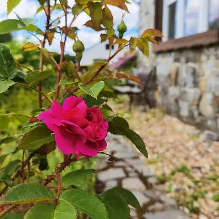 Vakantiehuis Eifelrose Simmerath