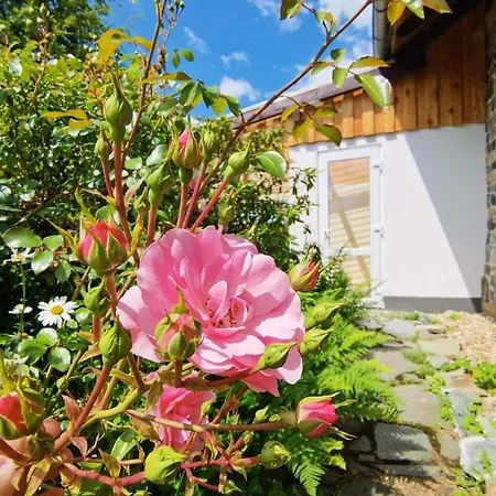 Eifelrose Ferienhaus *