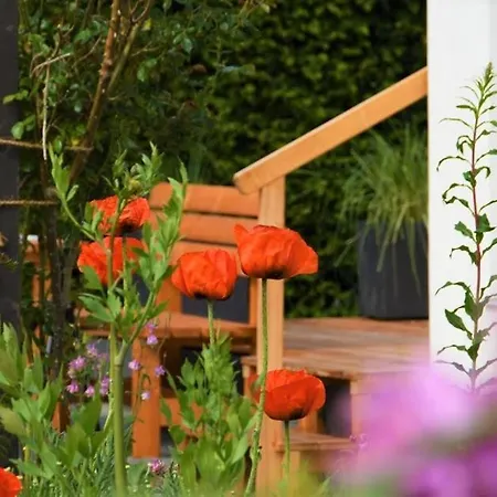 Eifelrose Σπίτι διακοπών *