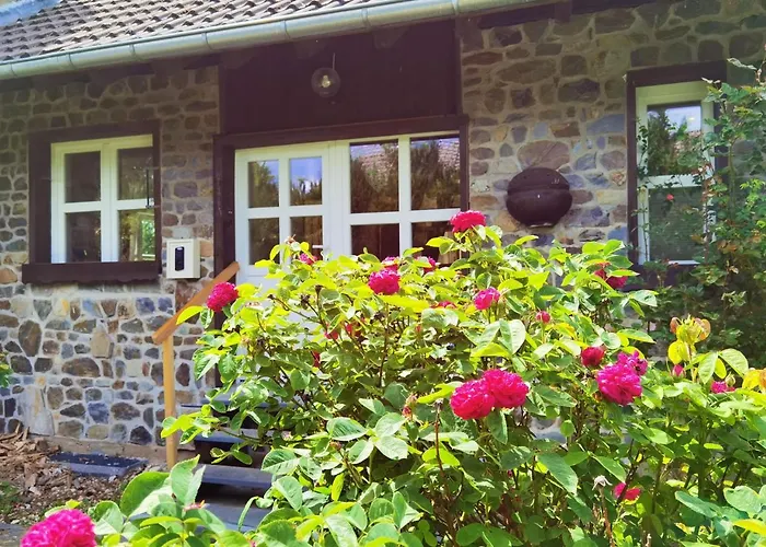 Eifelrose זימראת'