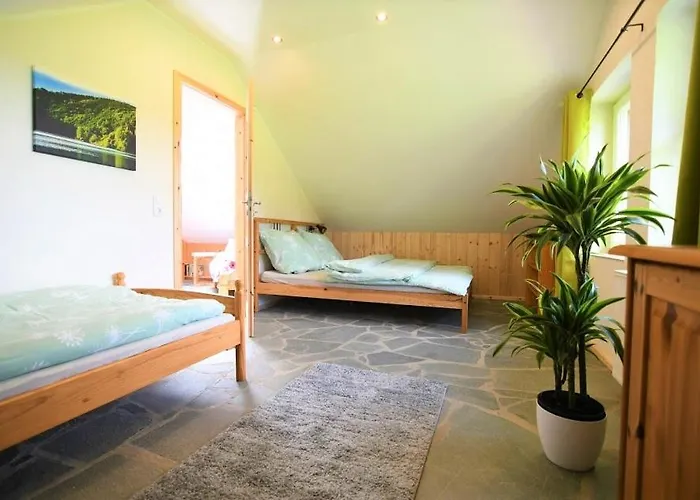 Eifelrose זימראת'