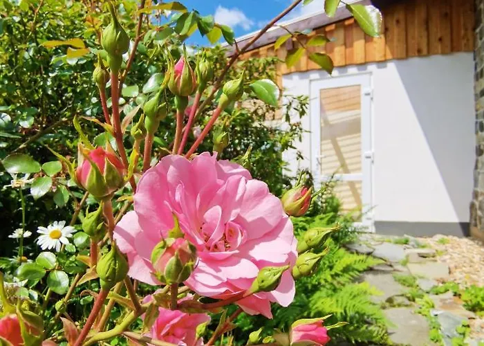 Eifelrose בית נופש *