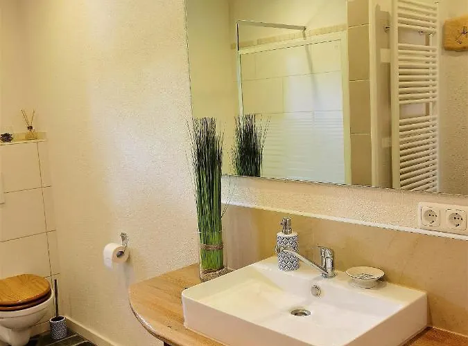 Eifelrose * זימראת'