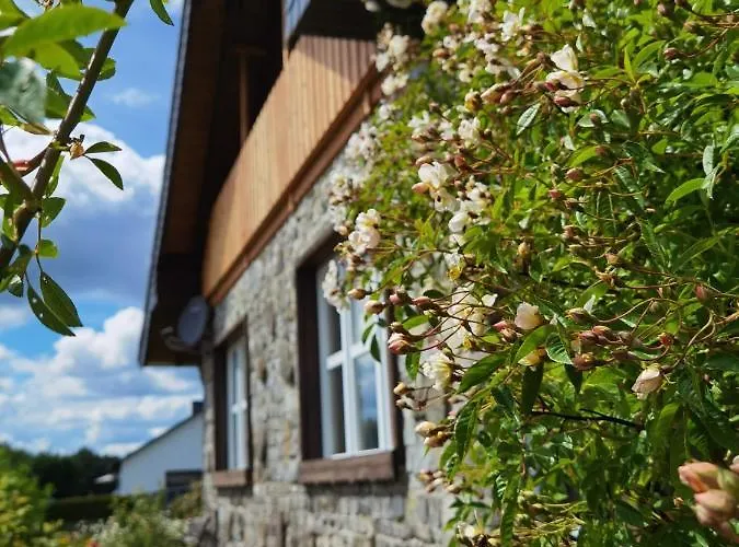 Eifelrose זימראת'